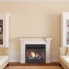 Duluth Forge Dual Fuel Ventless Gas Fireplace Insert - 32,000 Btu, T-Stat Cont FDF400T-ZC